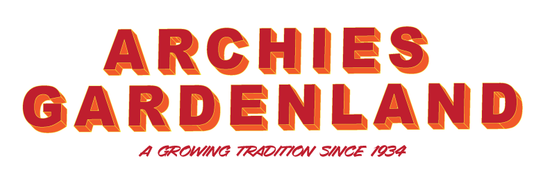 Archie | LOGO Comics Wiki | Fandom